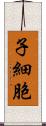 子細胞 Scroll