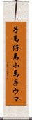 子馬 Scroll