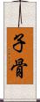 子骨 Scroll