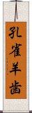 孔雀羊歯 Scroll