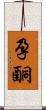 孕酮 Scroll
