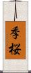 季桜 Scroll