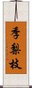 季梨枝 Scroll