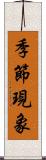 季節現象 Scroll