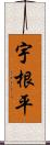 宇根平 Scroll