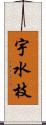 宇水枝 Scroll