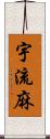 宇流麻 Scroll