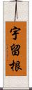 宇留根 Scroll