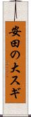 安田の大スギ Scroll
