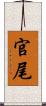 官尾 Scroll