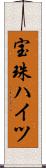 宝珠ハイツ Scroll