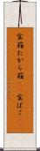 宝箱 Scroll