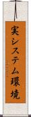 実システム環境 Scroll