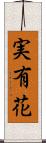 実有花 Scroll