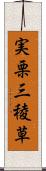 実栗 Scroll