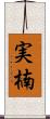 実楠 Scroll