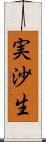 実沙生 Scroll