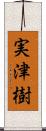 実津樹 Scroll