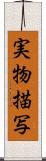 実物描写 Scroll