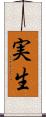 実生 Scroll