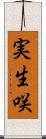実生咲 Scroll