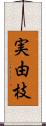 実由枝 Scroll