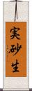 実砂生 Scroll