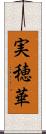 実穂華 Scroll