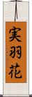 実羽花 Scroll
