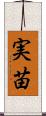 実苗 Scroll