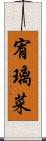 宥璃菜 Scroll