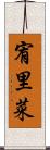 宥里菜 Scroll