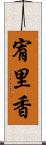 宥里香 Scroll
