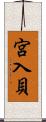 宮入貝 Scroll