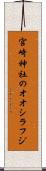 宮崎神社のオオシラフジ Scroll