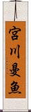 宮川曼魚 Scroll