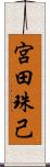 宮田珠己 Scroll