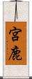 宮鹿 Scroll