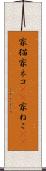 家猫 Scroll