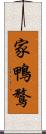 家鴨 Scroll