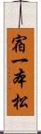 宿一本松 Scroll