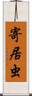 寄居虫 Scroll