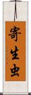 寄生虫 Scroll