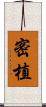 密植 Scroll