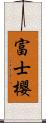 富士櫻 Scroll