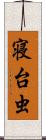 寝台虫 Scroll