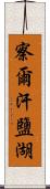 察爾汗鹽湖 Scroll