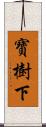 寶樹下 Scroll