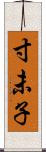 寸未子 Scroll