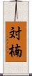 対楠 Scroll